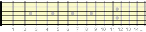 Guitar Fretboard Basics - How the Fretboard Works