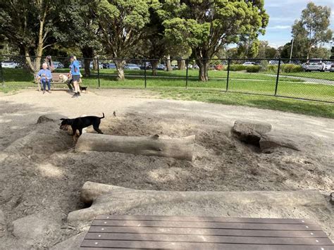 Gordon Barnard Reserve Fenced Dog Park (Balwyn North) - Boroondara ...