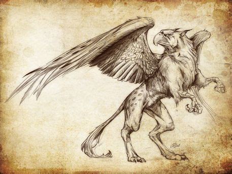 "Fantasy Sketch - Gryphon" Drawing by Christian Damm buy now as poster ...