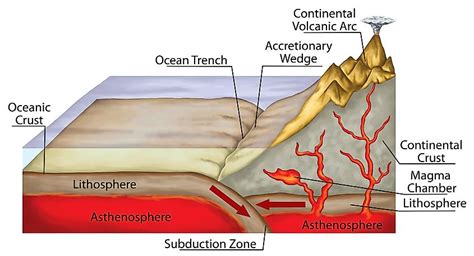 How Do Ocean Trenches Form? - WorldAtlas