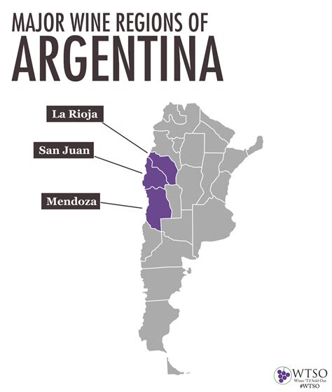 The Wines Of Argentina - From The Vine