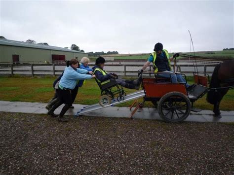 Carriage Driving Lessons – The Brae Riding for the Disabled