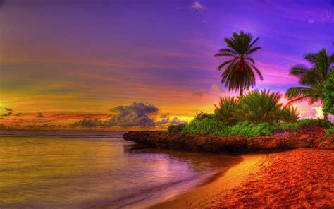 Tropical Beach Desktop Wallpaper - WallpaperSafari