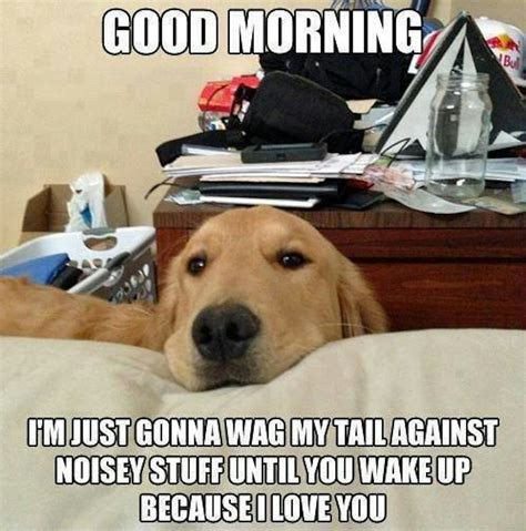 11 National Dog Day Memes That Are Just As Hilarious As They Are Cute