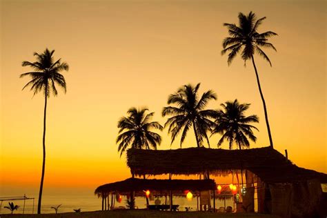 Nightlife | Things To Do In Goa