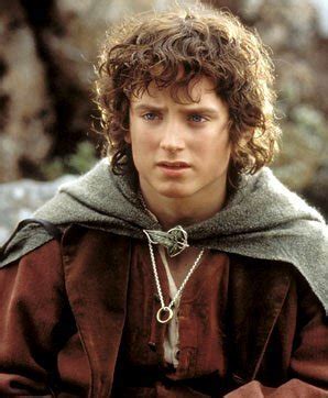 Frodo Baggins - Lord of the Rings Photo (11353292) - Fanpop