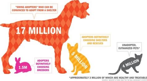 Applied Visual Analytics: Clarifying the No-Kill Shelter Stats