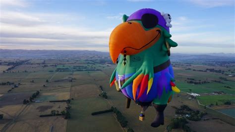 2015 Wairarapa Balloon Festival | Wings Over New Zealand