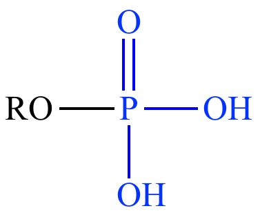 Illustrated Glossary of Organic Chemistry - Phaosphate ester ...