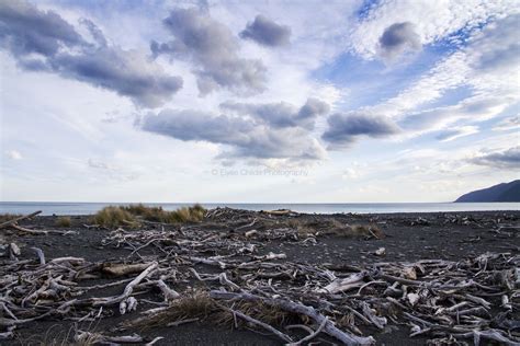 Ocean Beach, Wairarapa | Ocean beach, New zealand beach, Ocean