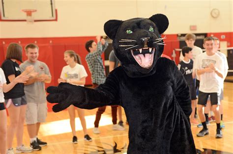 Saucon Valley Panther voted best Lehigh Valley high school mascot - The ...