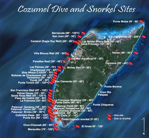 Cozumel Dive Sites – Maple Leaf Scuba