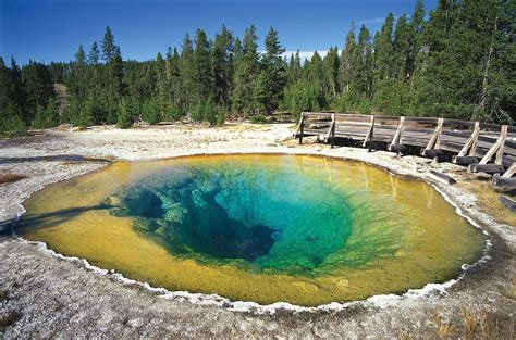 Yellowstone National Park - Geysers, Wildlife, Landscapes | Britannica