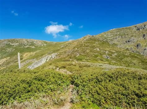 An Overnight Hike up Mount Bogong: Victoria's Highest Mountain