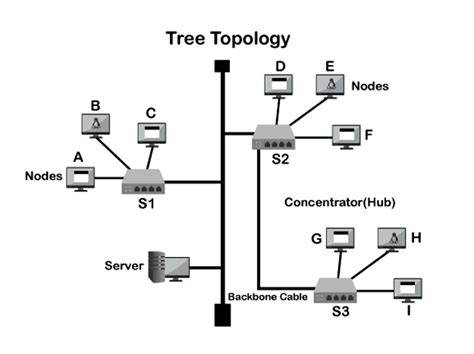 What Is Tree Topology Network Definition Advantages Disadvantages ...