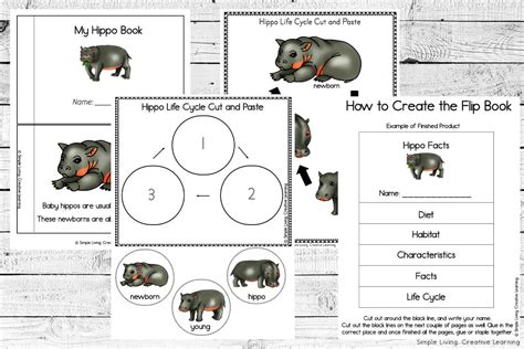 Hippo Life Cycle Printables - Simple Living. Creative Learning