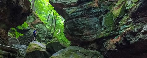 Wisconsin Explorer: Hiking Trails Near Wisconsin Dells