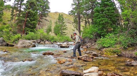 Fly Fishing the most INCREDIBLE Stream in Wyoming - Fly Fishing Wyoming ...