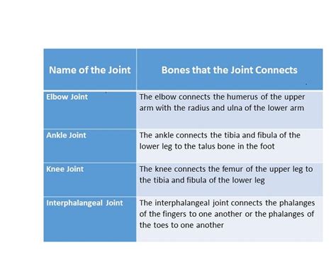 Hinge Joints in the Body: Definition, Movement & Examples | Study.com