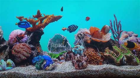 Roku Aquarium - YouTube