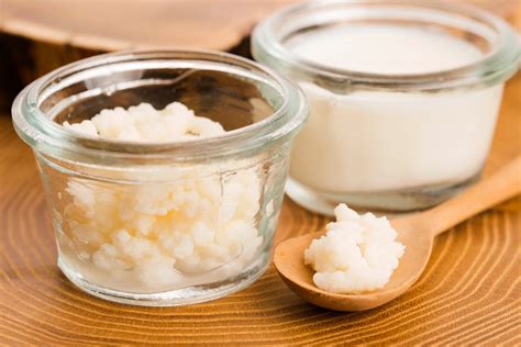 Milk Kefir Grains | CulturesforHealth | Kefir.pk