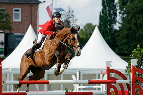 Hanoverian Show Jumping Championships 2011, Verden, German… | Flickr