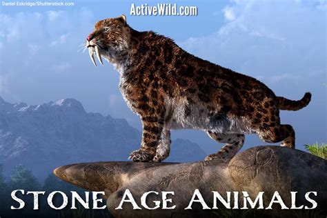 Animals Of The Stone Age List With Pictures & Facts