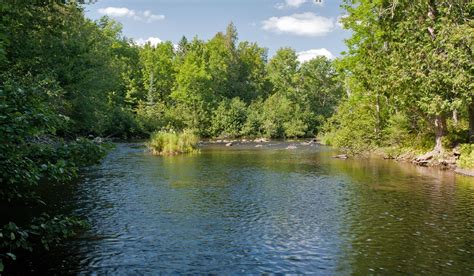 Brule River Trail Photo, Wisconsin Trail Guide