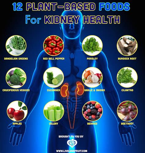 Does Kidney Function Improve With Weight Loss - divineposts