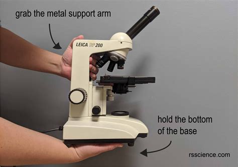 Compound Microscope Parts – Labeled Diagram and their Functions - Rs ...