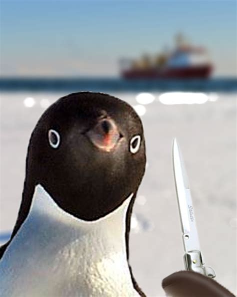 Angry Penguin Meme