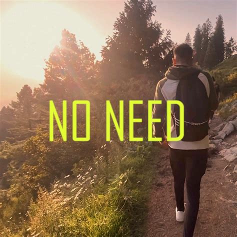 ‎No Need - Single - Album by aleemrk & Umair - Apple Music