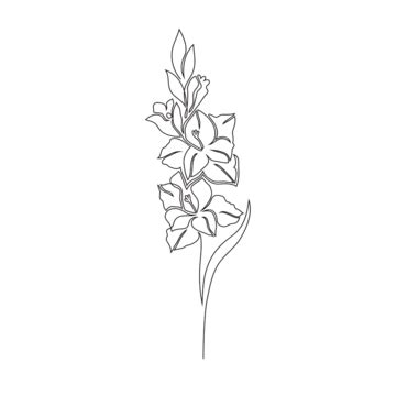 Gladiolus Black And White Clipart Images For Free Download - Pngtree