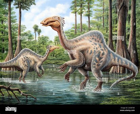 Deinocheirus mirificus hi-res stock photography and images - Alamy