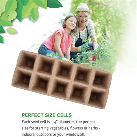 10 Cell Biodegradable Seedling Tray