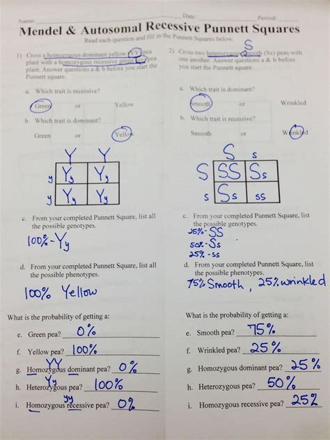 Blood Type Punnett Square Worksheet Pdf