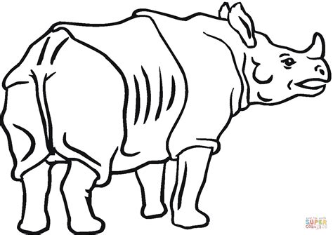 Rhino Outline Drawing at GetDrawings | Free download