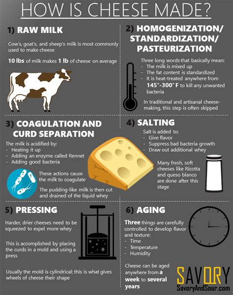 How is Cheese Made? - The 6 Step Process