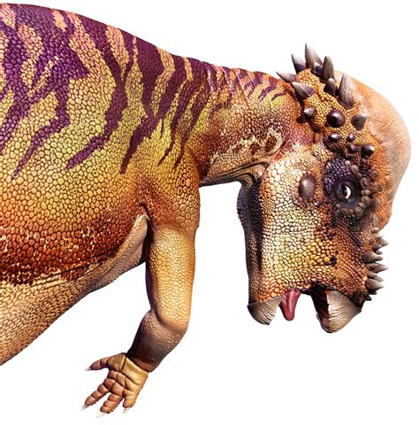 Pachycephalosaurus | Pachycephalosaurus Facts | DK Find Out