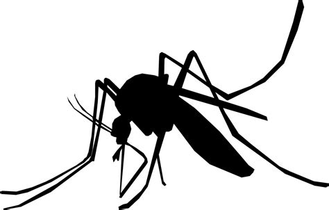 Free Mosquito Clipart Black And White, Download Free Mosquito Clipart ...