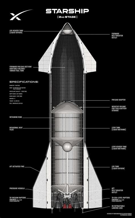 Cutaway schematic of SpaceX Starship interior by Tom Dixon | human Mars