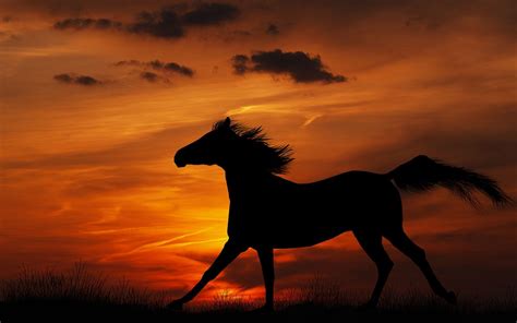 Aesthetic Sunset Horse Wallpapers - Wallpaper Cave