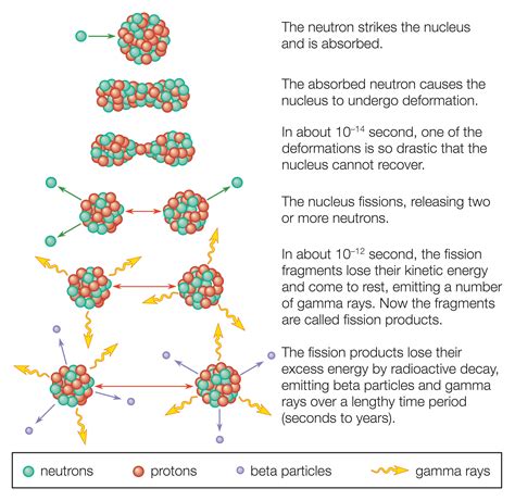 Nuclear Fission Definition and Examples