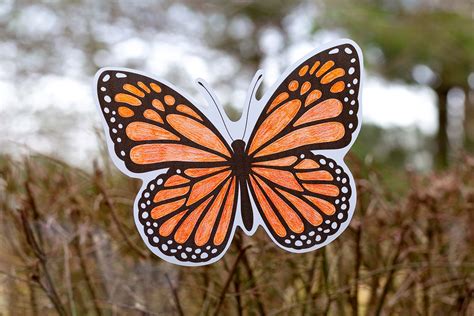 Butterfly Suncatcher Craft | Fireflies and Mud Pies