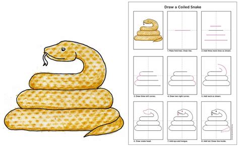 Coiled Snake Diagram Art Drawings For Kids, Drawing For Kids, Easy ...