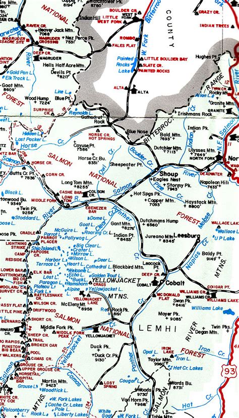 The States of Idaho : Map of Lemhi County, Idaho