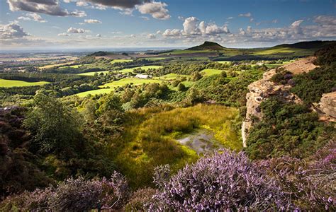 The infinite wonders of the North York Moors National Park - Country Life