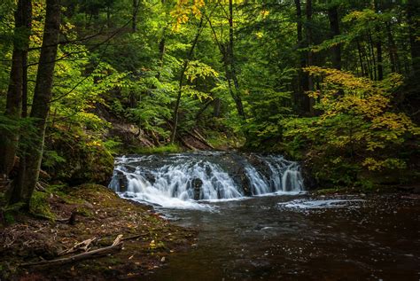 forest, River, Trees, Waterfall, Nature, Autumn Wallpapers HD / Desktop ...