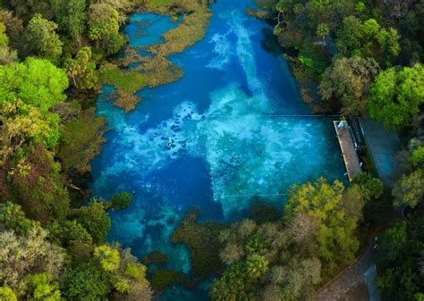 Tips for Rainbow Springs State Park: A Florida Oasis - Florida Trippers