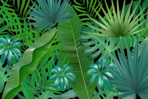 Complex Leaves Wallpaper Mural - Tropical Leaf Wallaper - Wall Murals